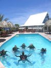 Lions Dive Curacao