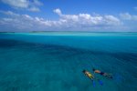 Caribbean Weddings Caribbean Weddings