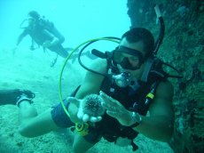 Vigilant Divers Anguilla
