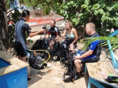 The Dive Bus