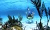 Adventure Island at Glover’s Reef, Belize Adventure Island at Glover’s Reef, Belize