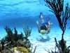 Adventure Island at Glover’s Reef, Belize Adventure Island at Glover’s Reef, Belize