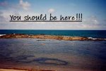 Jimmy Dive resort - Come live the adventure. Jimmy Dive resort - Come live the adventure.