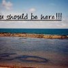 Jimmy Dive resort - Come live the adventure. Jimmy Dive resort - Come live the adventure.