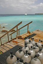 Habitat Curacao Resort - The dive hotel in the Caribbean - The home of diving freedom. Habitat Curacao Resort - The dive hotel in the Caribbean - The home of diving freedom.