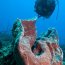 Habitat Curacao Resort - The dive hotel in the Caribbean - The home of diving freedom. Habitat Curacao Resort - The dive hotel in the Caribbean - The home of diving freedom.
