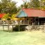 The Reef House Resort - Roatan diving at its finest! The Reef House Resort - Roatan diving at its finest!