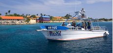Divi Flamingo Beach Resort - Divi Flamingo Beach Resort -