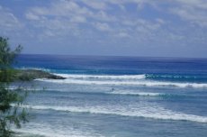 Barbados Surfing Hangout