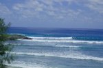 Barbados Surfing Hangout