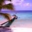 Marazul dive resort 
