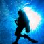 Deep Blue Utila - Swim with the Sharks ! Deep Blue Utila - Swim with the Sharks !
