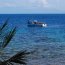 Deep Blue Utila - Swim with the Sharks ! Deep Blue Utila - Swim with the Sharks !