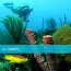 Caribbean Club Bonaire - Dive, Relax and Explore is what Caribbean...