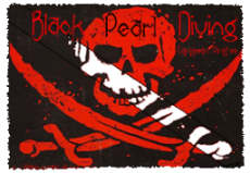 Black Pearl Diving