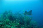 Grand Turk sites pictures