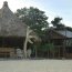 Utopia Dive Village Utopia Dive Village
