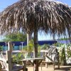 Fully equipped apartments great value in Bonaire Fully equipped apartments great value in Bonaire