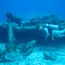 Bill & Nowdla Keefe's Bimini Undersea