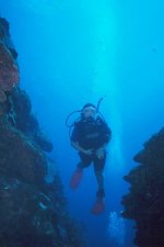Valentine's Dive Center Bahamas Harbour Island, Eleuthera