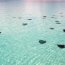 Stingray City Grand Cayman Stingray City Grand Cayman