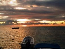 Tylls Dive Shop Roatan