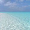 Cuba, Who Knew Its The Best Caribbean Diving Cuba, Who Knew Its The Best Caribbean Diving