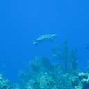IMG_9431