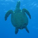IMG_9449
