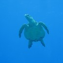 IMG_9448