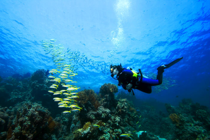 Scuba Diving Anguilla