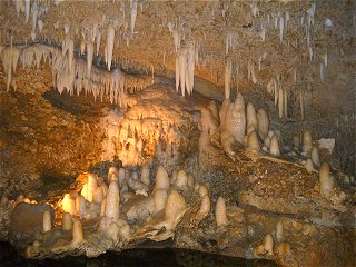 harrisons cave barbados