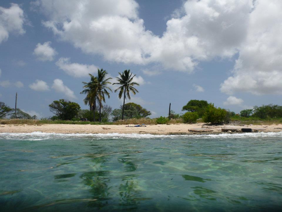 bonaire shore diving site