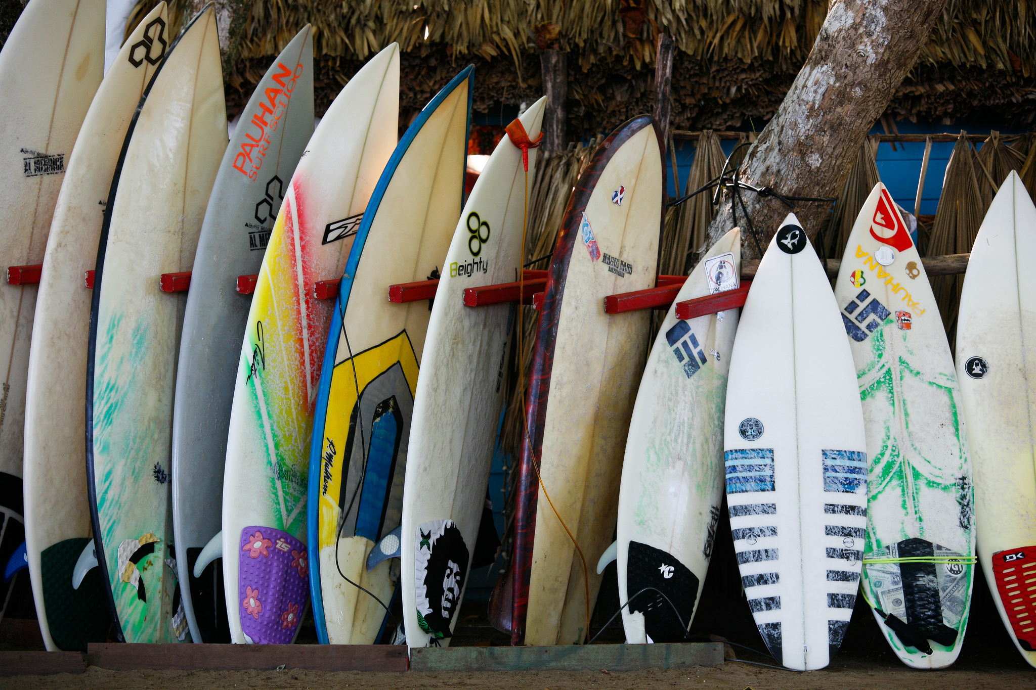 surfboards dominican republic