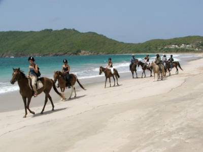 b2ap3_thumbnail_Horseback-Riding-St-Lucia.jpg