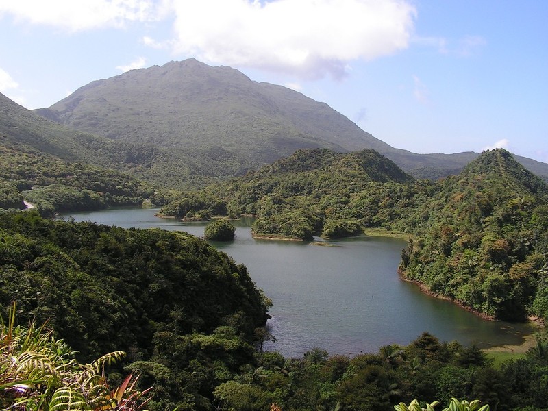 hiking in dominica