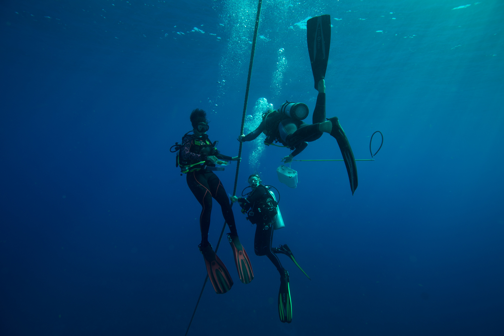 scuba diving st eustatius