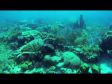 GoPro - Scuba Diving in the Caribbean 1