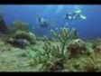 Dive on the RMS Rhone in British Virgin Islands