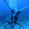 weightless advantages of diving