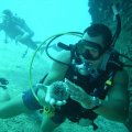 Vigilant Divers Anguilla