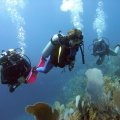 Diving Dominican Republic