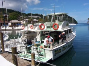 Scuba Diving St Lucia : Fair Helen