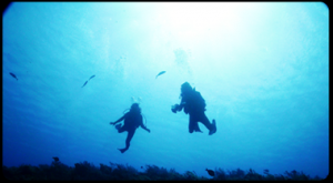 Dive Xplor Riviera Maya