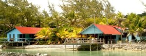 The Reef House Resort - Roatan diving at its finest!