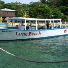Luna Beach Dive resort - Leave your cares behind....!!!