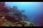 Diving The Belize Barrier Reef, Eagle Ray Canyon