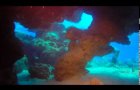 Cavern Dive on Andros, Bahamas