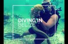Diving in Hol Chan and Shark Alley in Belize