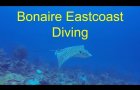 Bonaire Eastcoast Diving - GoPro